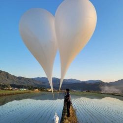 North Korea sends balloons filled with waste into the South 4